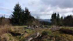 Fjelly (ruin), Landåsfjellet