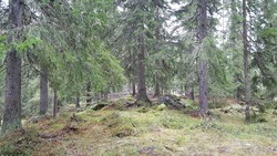 Sør for Abbor-Akksjøen