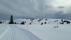 Sjuputtmyrtjønnhøgda