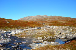 Skarvdalseggen