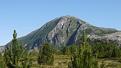 Lurøyfjellet