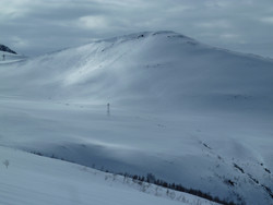 Vardfjellet