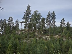 Øst for Bergseterbekken Sør 2