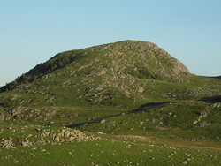 Risfjellet