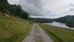 Bomveg Sævellavatnet