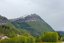 Halvgjerda