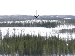 Gardbergskampen Nordtoppen