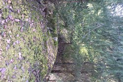 Øst for Nordre Furu