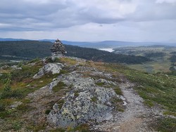 Lortetjednhaugen