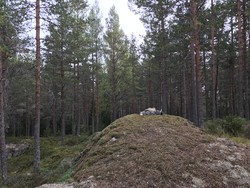 Våråsen