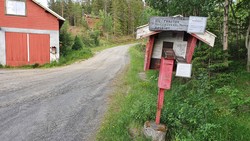 Veien Djupdal - Damtjern