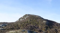 Store Pinsegrønuten