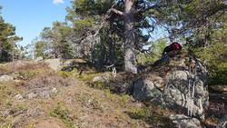 Søndre Kjellarfjellet