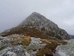 Himingen lett klyving