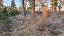 Budalsåsen Nordvest