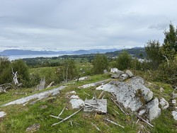 Tonekulten