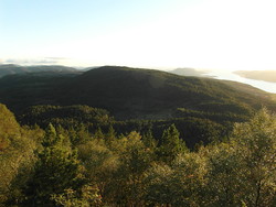 Lauvåsen