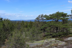 Ytre Hvaler nasjonalpark