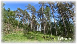 Briktdalen Lysløype