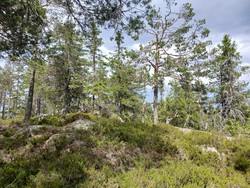 Brennberget