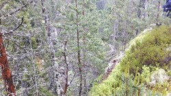 Lokalt Jutulhugg Lunner