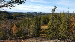 Bjørkseter utsikten