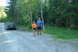 Plommetjernveien P-lomme