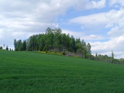 Tesifallet i Vormadalen