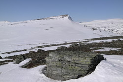 Fremste Åmotshytten