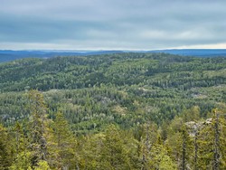 Liåsen