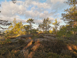 Hvarnesbrånan Nord