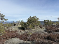 Vardefjellet