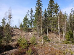 Rånåsen