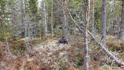 Trengsåsen Nordvest