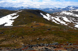 Rypfjellet