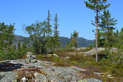 Håsomfjellet