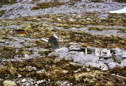 Rjoandeggi nedbørsmåler