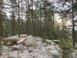 Solliåsen