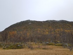 Toskevassfjellet