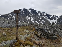 Lærestedene knutshø