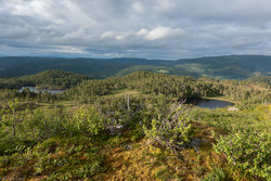 Litjvassåsen