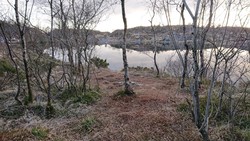 Jotneberg d.e. (tuft)