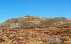 Øst for Øljuhalsane