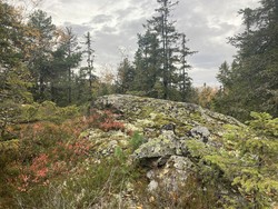Gyrihaugen sør