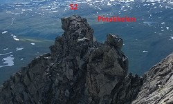 Austanbottpinakkelen