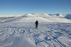 Frøyseteggene