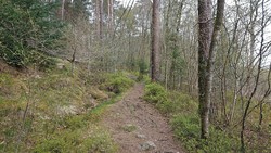 Klauv - sti fra sør