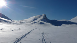 Geitskarfjellet