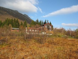 Fokhaugstova