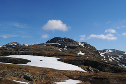 Sørnuten